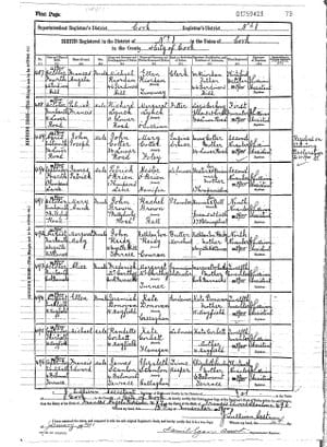 Civil birth returns for Cork city, 1900.
